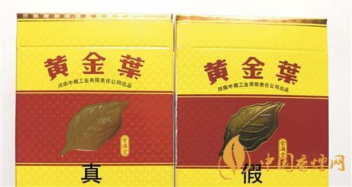 如何辨別黃金葉金滿堂真假？2020黃金葉真假辨別詳情對比