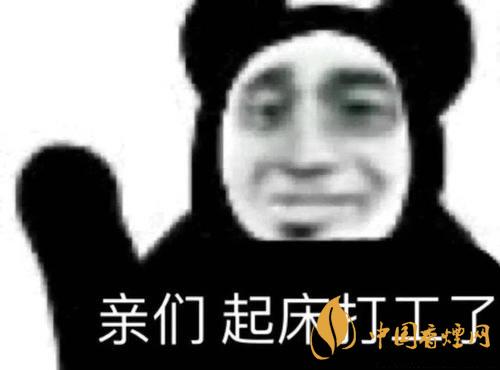 早安打工人是什么梗？早安打工人梗語錄大全
