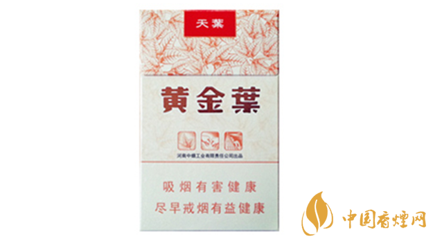 黃金葉天葉真假怎樣區(qū)分？黃金葉天葉真假識別