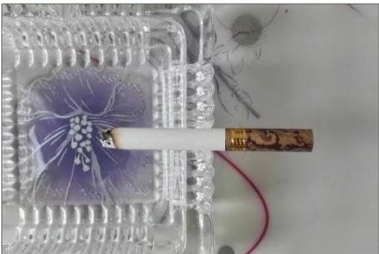 黃鶴樓漫天游，除了短貴沒別的毛病