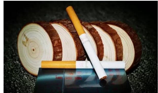 黃鶴樓游泳回歸，爺爺輩最喜愛的香煙品牌